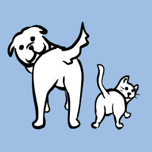 The Underdogs